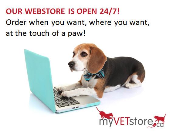 my vet store marketing 2