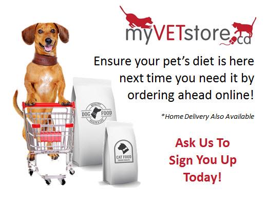 Vet online outlet store